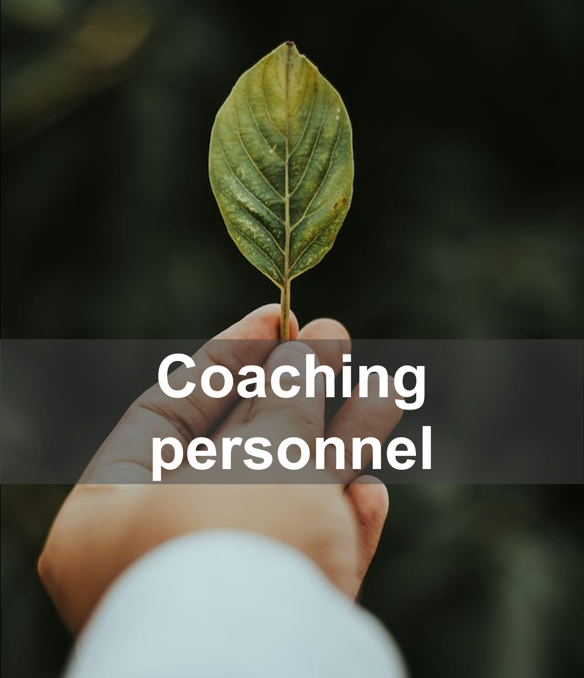 lien-coaching-particulier-optimisee